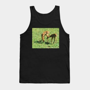 Little Fawns in the Sun Tank Top